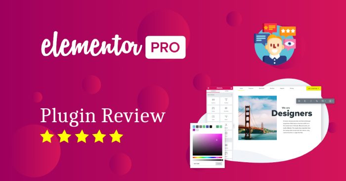 elementor pro activator